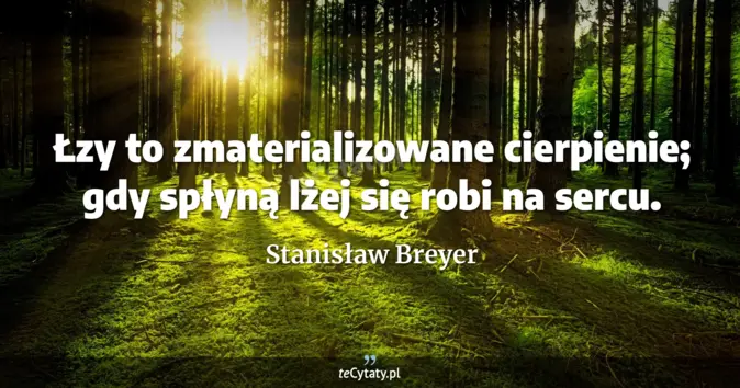 Stanisław Breyer - zobacz cytat