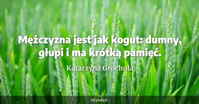 Katarzyna Grochola - zobacz cytat