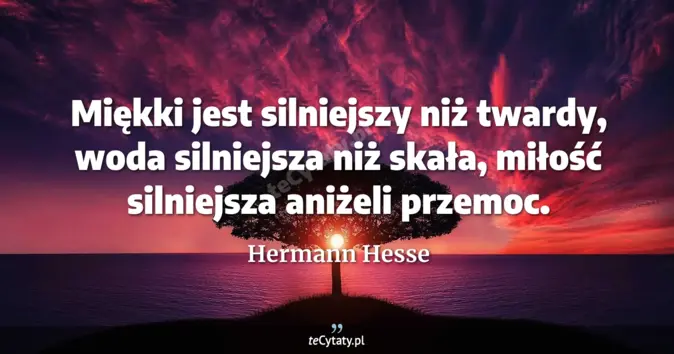 Hermann Hesse - zobacz cytat