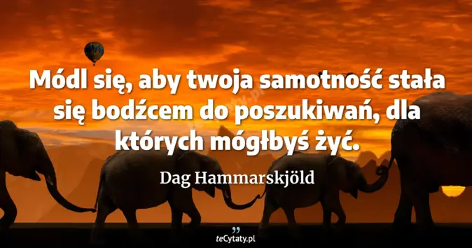 Dag Hammarskjöld - zobacz cytat