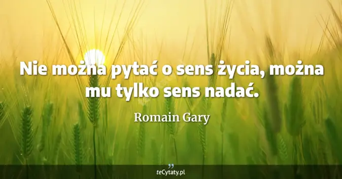 Romain Gary - zobacz cytat