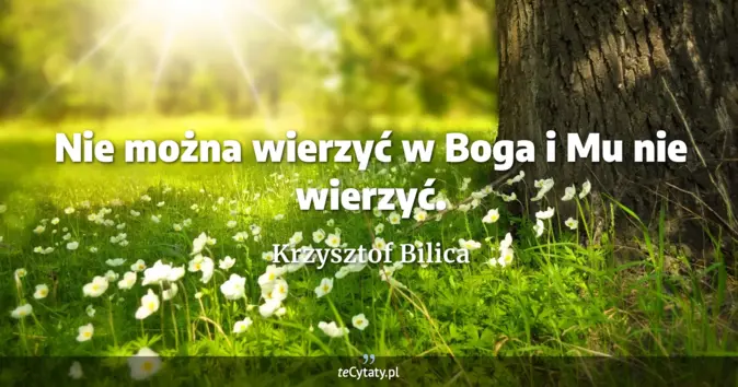 Krzysztof Bilica - zobacz cytat