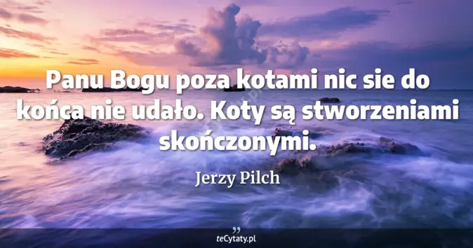 Jerzy Pilch - zobacz cytat