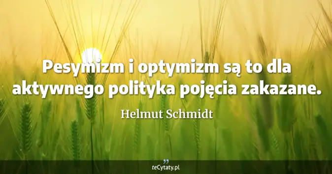 Helmut Schmidt - zobacz cytat