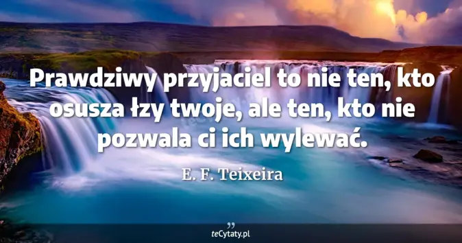 E. F. Teixeira - zobacz cytat