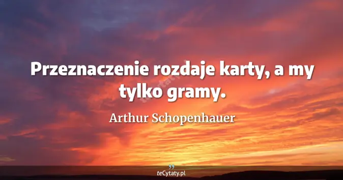 Arthur Schopenhauer - zobacz cytat