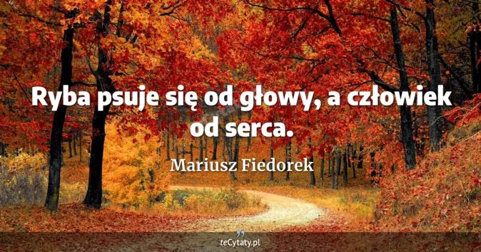 Mariusz Fiedorek - zobacz cytat