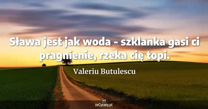 Valeriu Butulescu - zobacz cytat