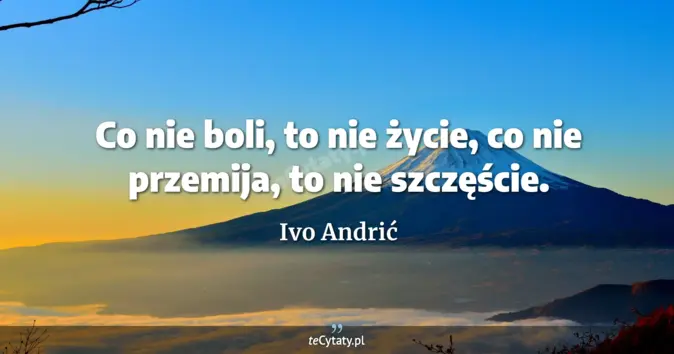 Ivo Andrić - zobacz cytat
