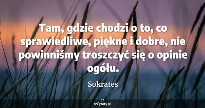 Sokrates - zobacz cytat