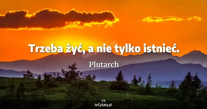 Plutarch - zobacz cytat
