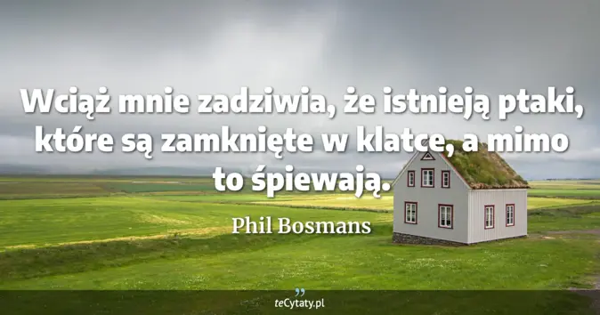 Phil Bosmans - zobacz cytat