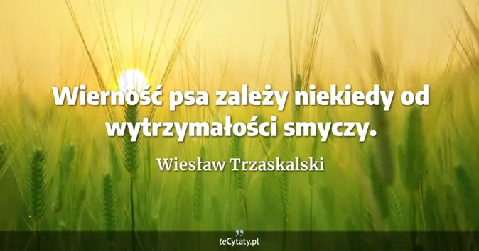 Wiesław Trzaskalski - zobacz cytat
