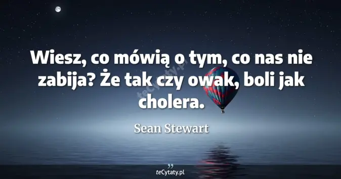 Sean Stewart - zobacz cytat