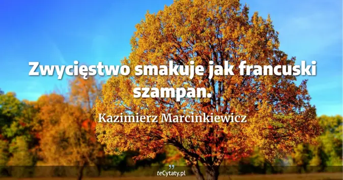 Kazimierz Marcinkiewicz - zobacz cytat