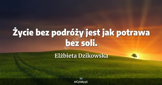 Elżbieta Dzikowska - zobacz cytat