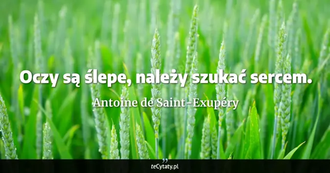 Cytat Antoine de Saint-Exupéry: Oczy są ślepe, należy szukać sercem....