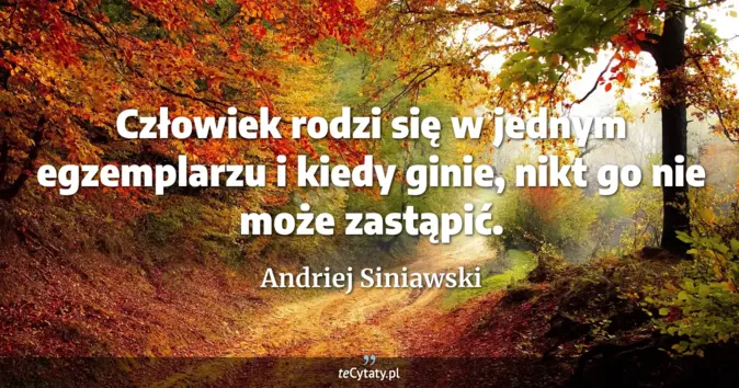 Andriej Siniawski - zobacz cytat