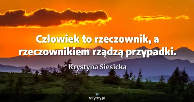 Krystyna Siesicka - zobacz cytat