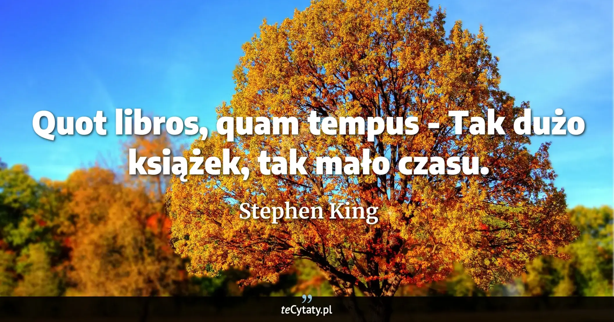 Cytat Stephen King: "Quot libros, quam tempus - Tak dużo książek, tak mało czasu...."
