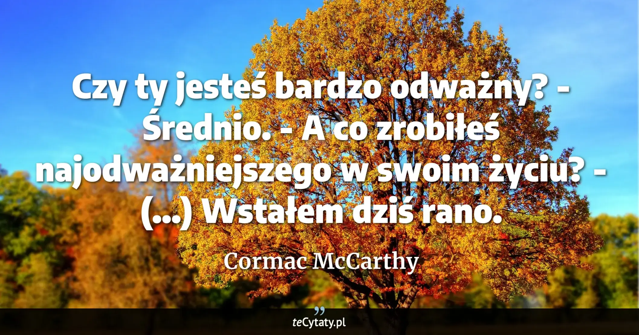 Cytat Cormac McCarthy: "Czy ty jesteś bardzo odważny? - Średnio. - A co zrobiłeś najodważniejszego w swoim życiu? - (...) Ws..."