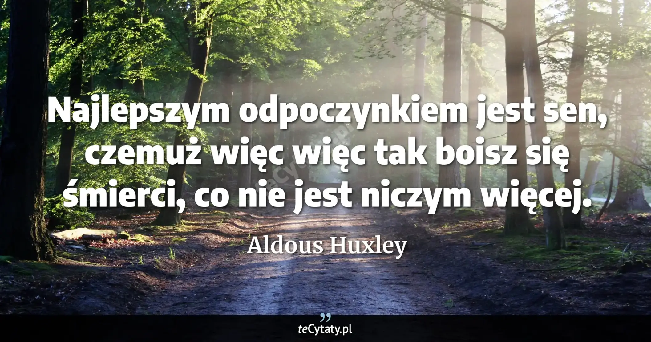Cytat Aldous Huxley: "Najlepszym odpoczynkiem jest sen, czemuż więc więc tak boisz się śmierci, co nie jest niczym więcej...."