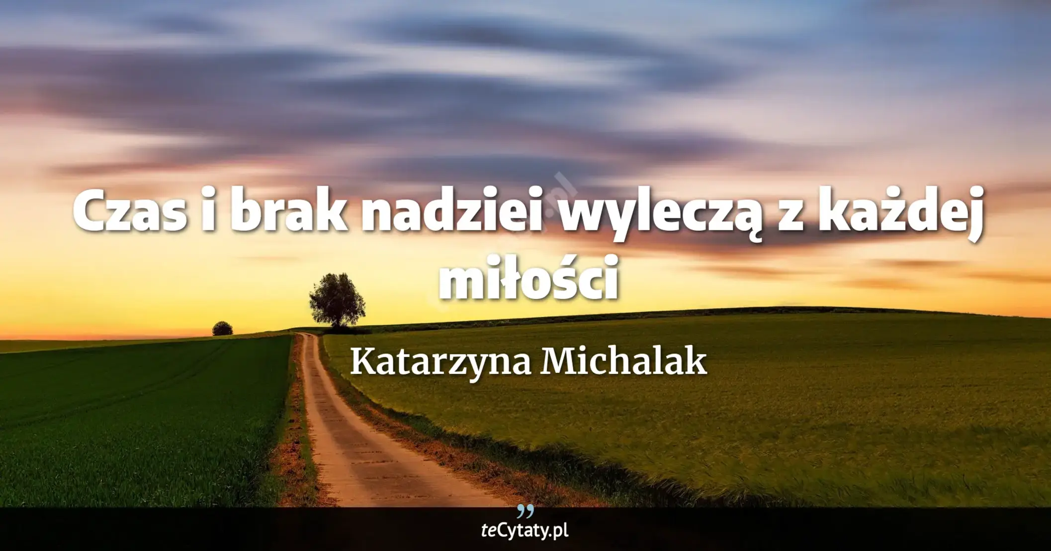Cytat Katarzyna Michalak: "Czas i brak nadziei wyleczą z każdej miłości..."