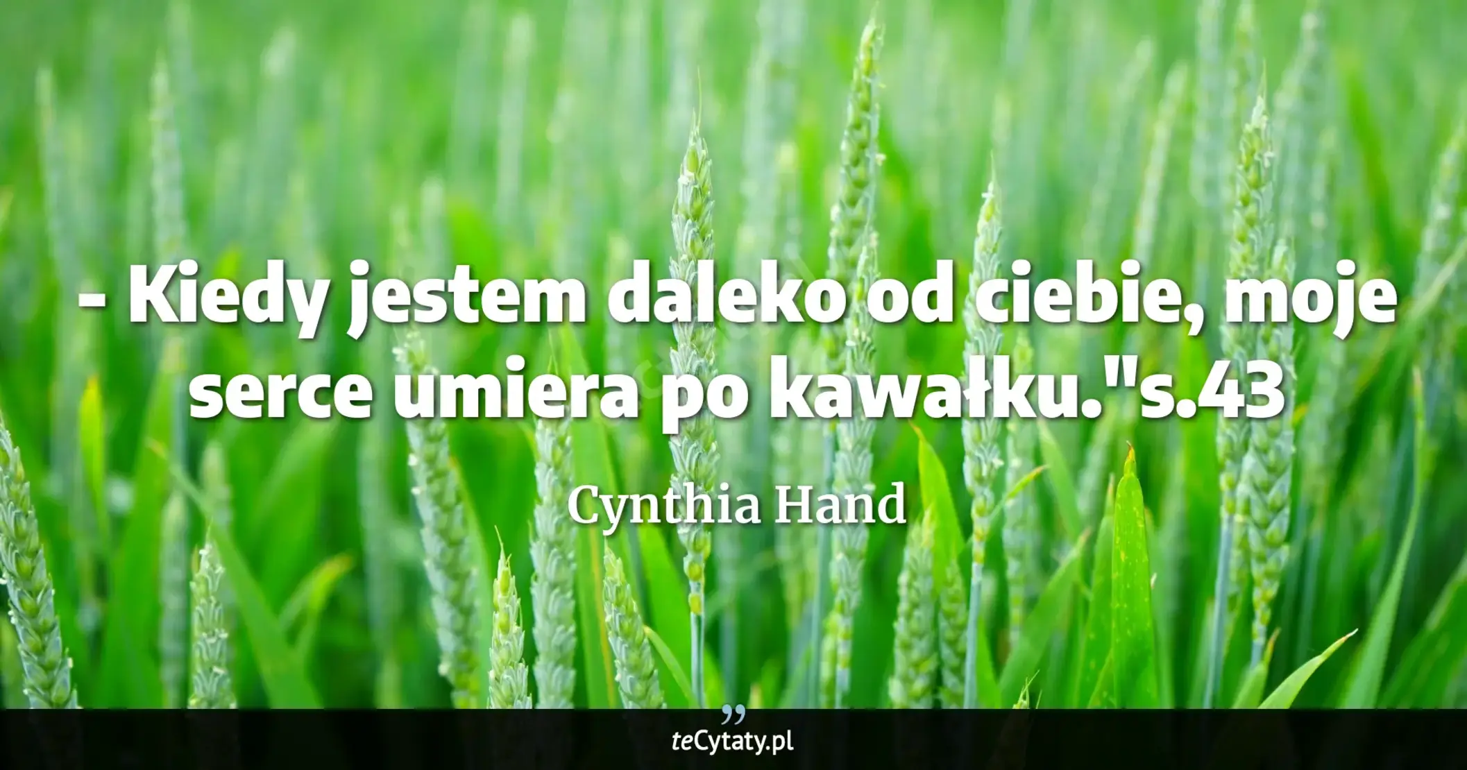 Cytat Cynthia Hand: "- Kiedy jestem daleko od ciebie, moje serce umiera po kawałku."s.43..."