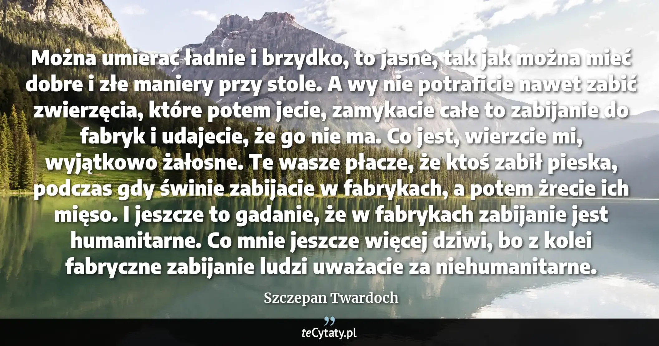 Cytat Szczepan Twardoch: "Można umierać ładnie i brzydko, to jasne, tak jak można mieć dobre i złe maniery przy stole. A wy ni..."