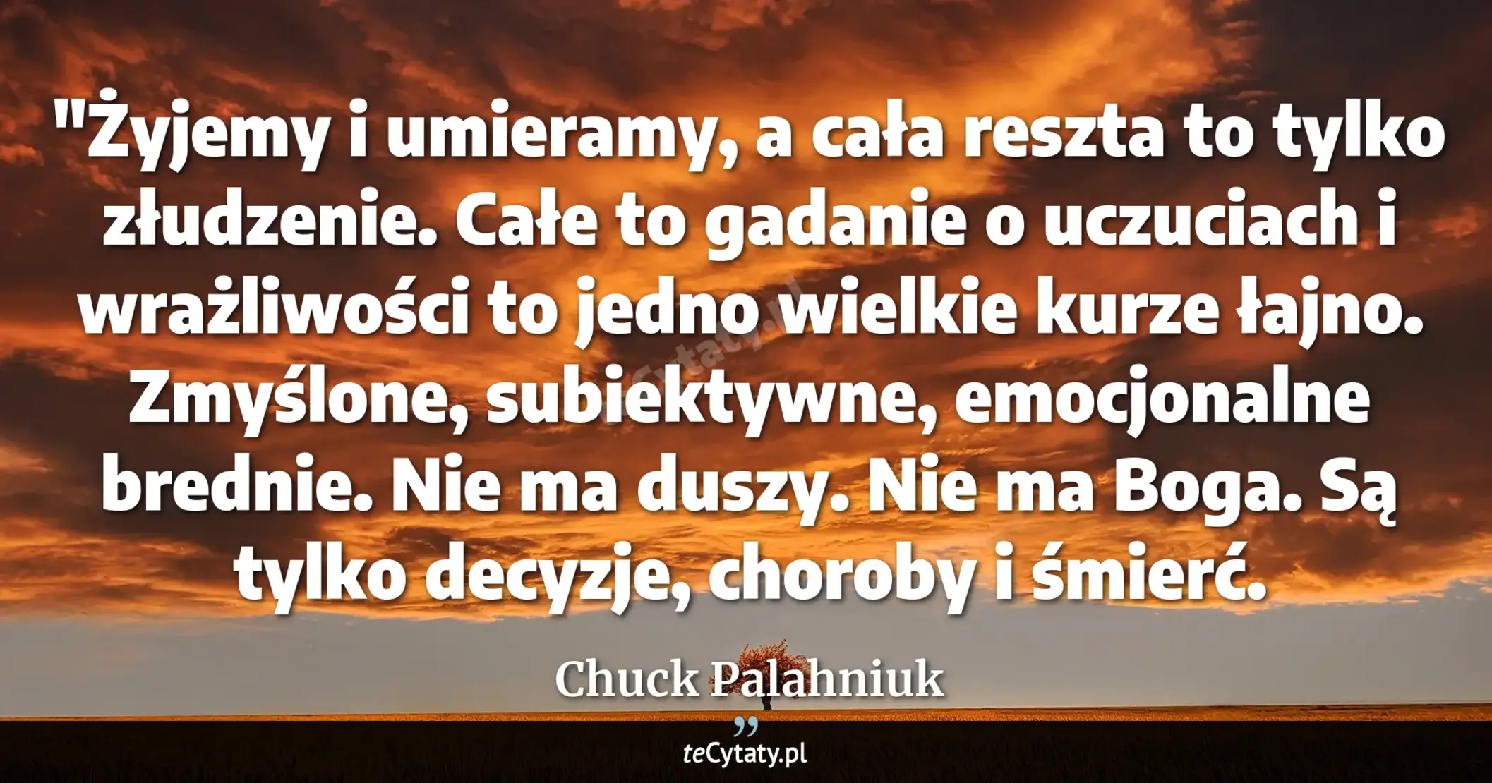Cytat Chuck Palahniuk: ""Żyjemy i umieramy, a cała reszta to tylko złudzenie. Całe to gadanie o uczuciach i wrażliwości to j..."