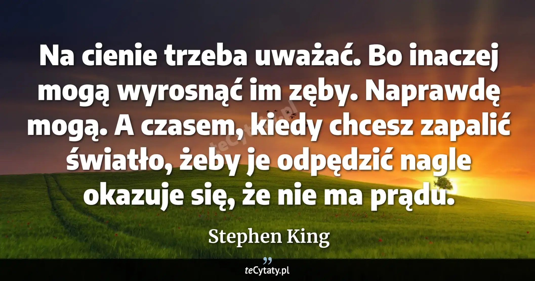 Cytat Stephen King: "Na cienie trzeba uważać. Bo inaczej mogą wyrosnąć im zęby. Naprawdę mogą. A czasem, kiedy chcesz zap..."