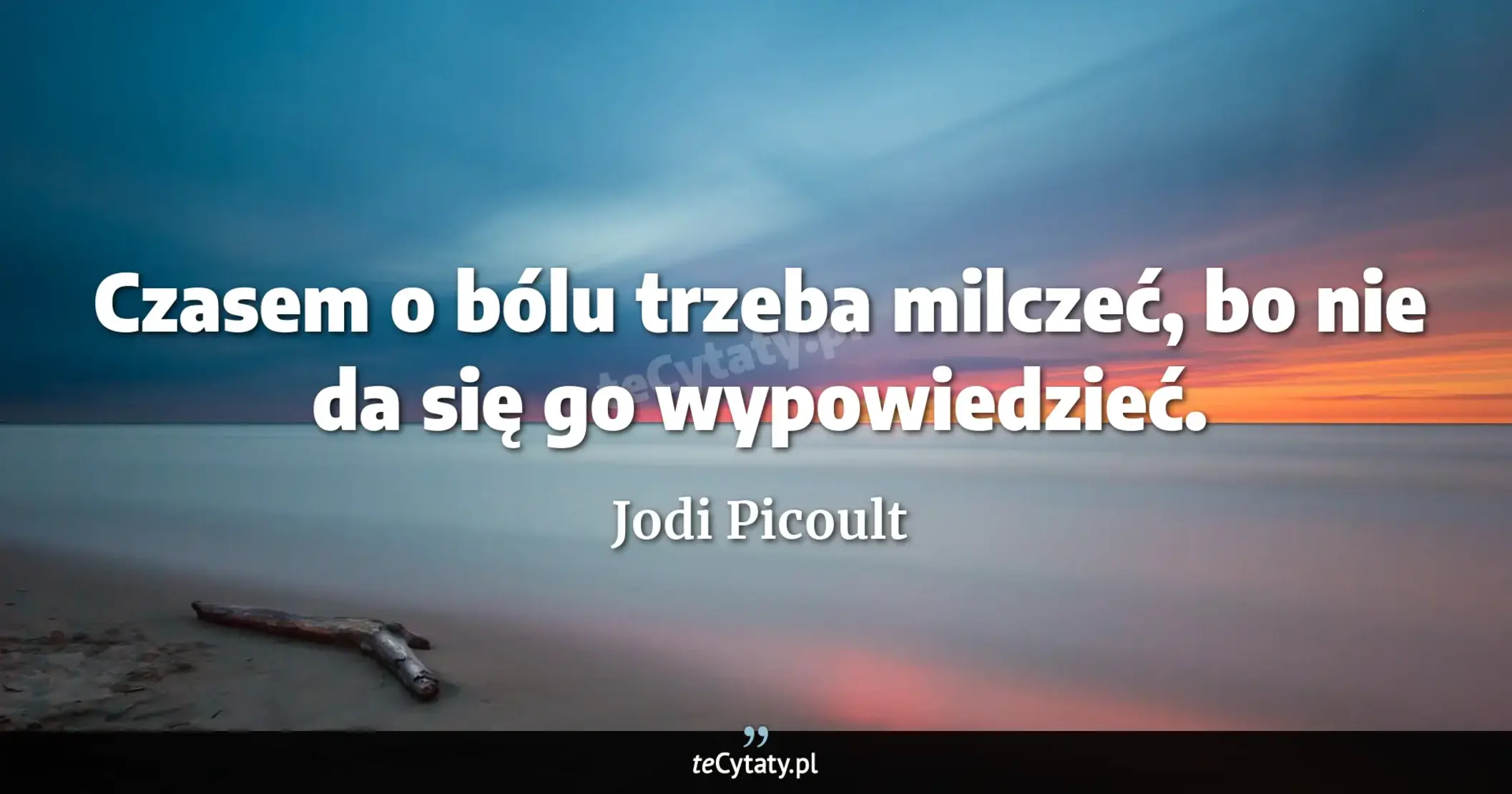 Cytat Jodi Picoult: "Czasem o bólu trzeba milczeć, bo nie da się go wypowiedzieć...."