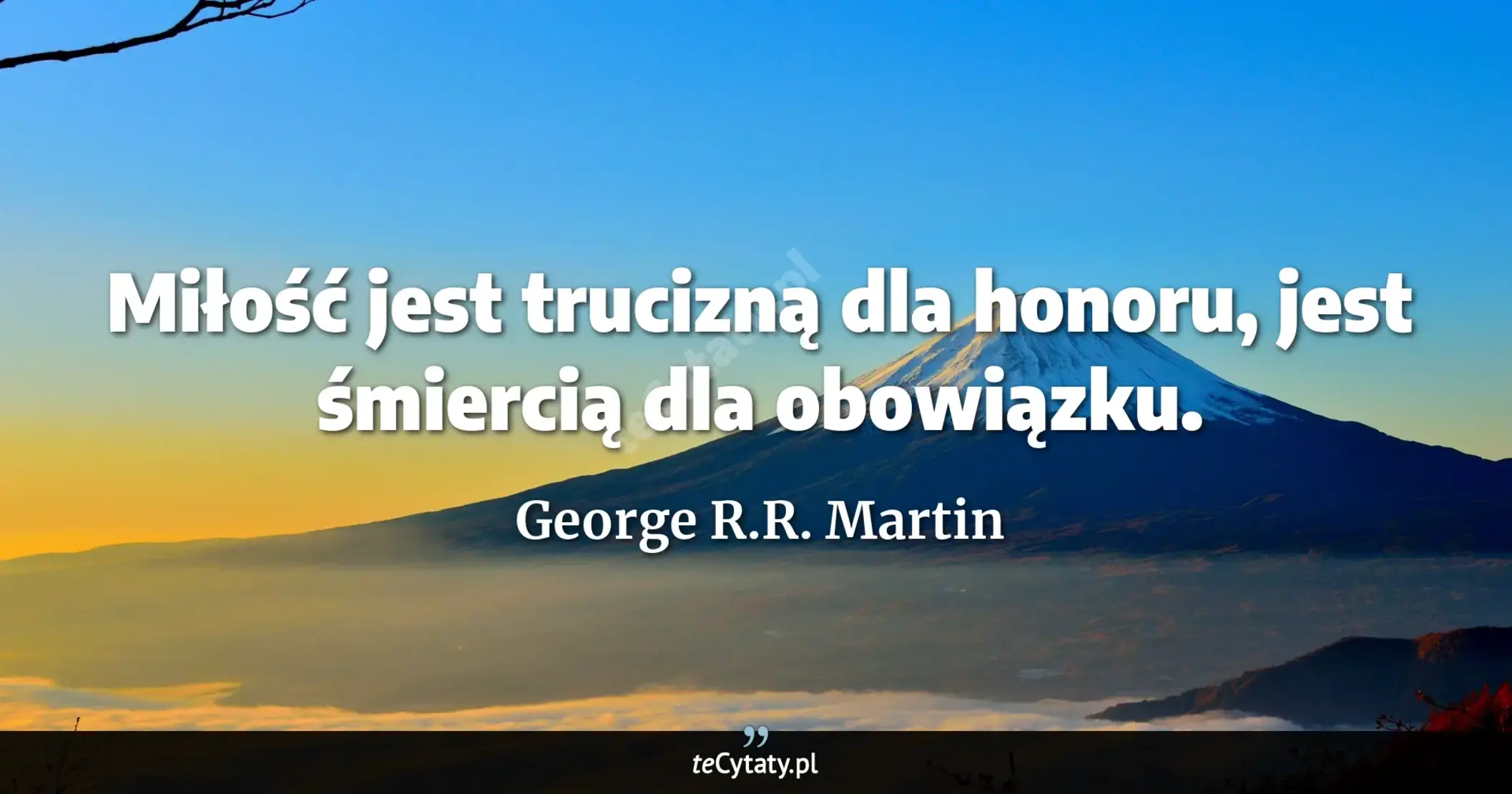 Cytat George R.R. Martin: "Miłość jest trucizną dla honoru, jest śmiercią dla obowiązku...."