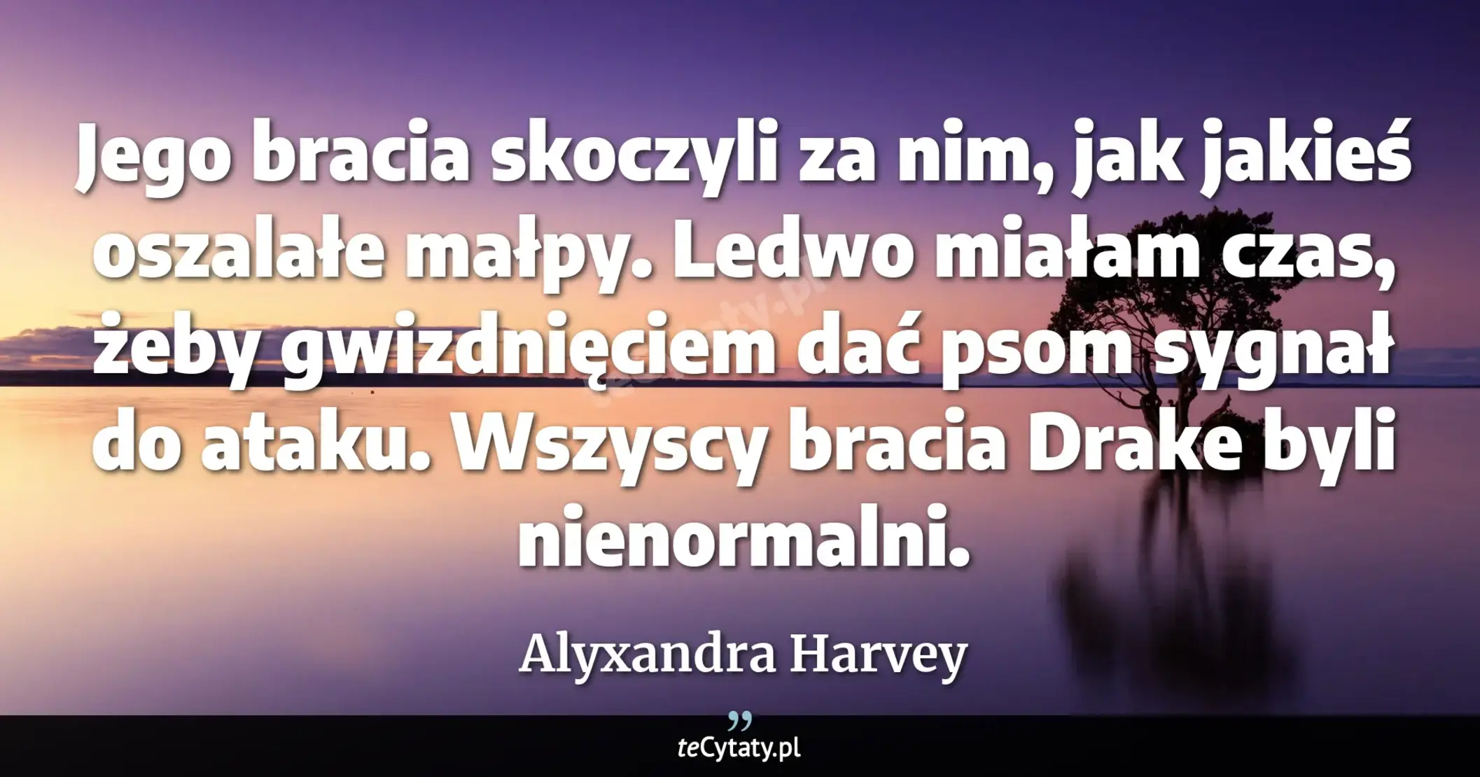 Cytat Alyxandra Harvey: "Jego bracia skoczyli za nim, jak jakieś oszalałe małpy. Ledwo miałam czas, żeby gwizdnięciem dać pso..."