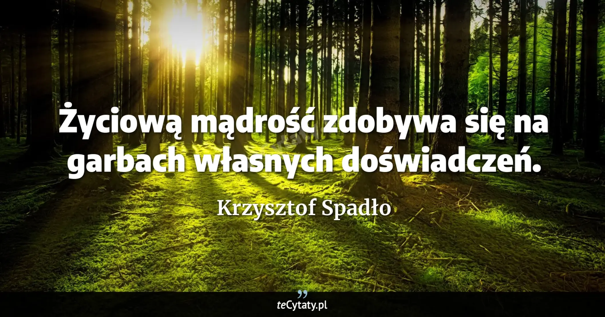 Cytat Krzysztof Spadło: "Życiową mądrość zdobywa się na garbach własnych doświadczeń...."