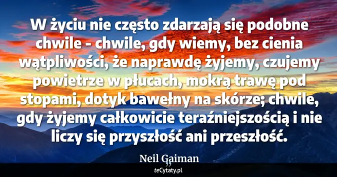Cytat Neil Gaiman: W życiu nie często zdarzają się podobne chwile - chwile, gdy wiemy, be...