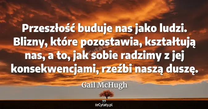 Cytat Gail McHugh: Przeszłość buduje nas jako ludzi. Blizny, które pozostawia, kształtują...