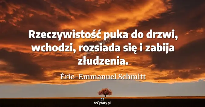 Cytat Éric-Emmanuel Schmitt: Rzeczywistość puka do drzwi, wchodzi, rozsiada się i zabija złudzenia....